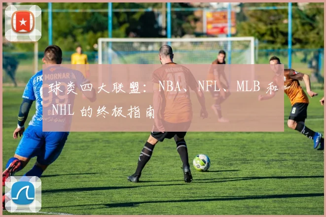 球类四大联盟:NBA、NFL、MLB 和 NHL 的终极指南